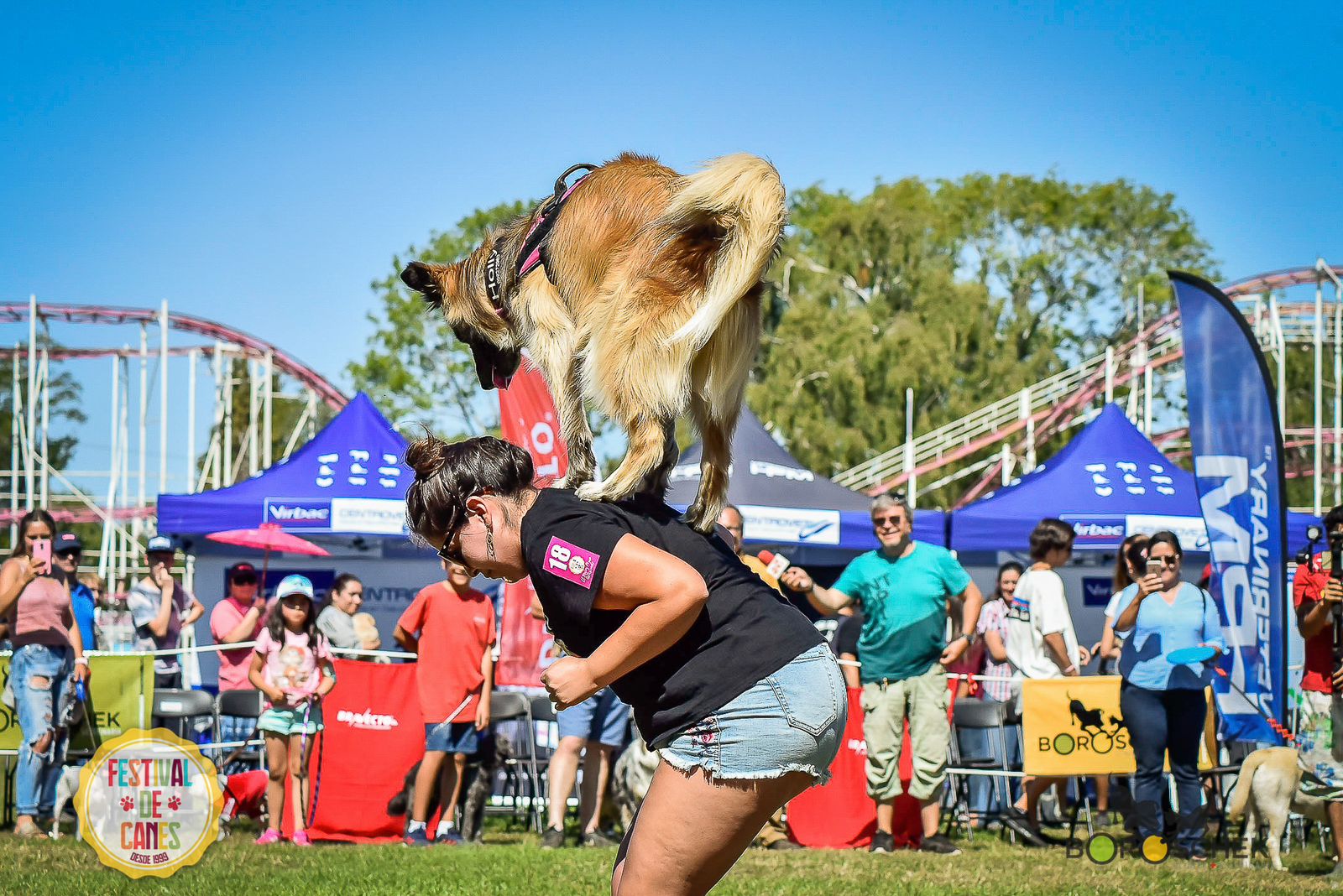 Este sábado regresa el Festival de Canes al Parque Saval con nueve competencias para mascotas